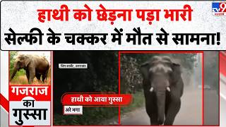 Jim Corbett Elephant Attack Video हथ क छडन पड भरसलफ क चककर म मत स समन - Tv9