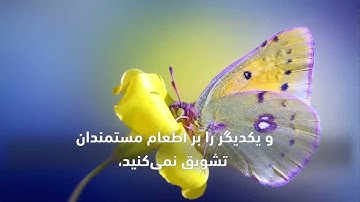 Surah Fajr Omar Hisham - سوره فجر عمر هشام العربی با ترجمه و زیر نویس فارسی/دری