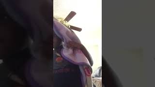 Download Lagu Patti LaBelle Singing the Alphabet Gospel Style sung by 6 year old. MP3