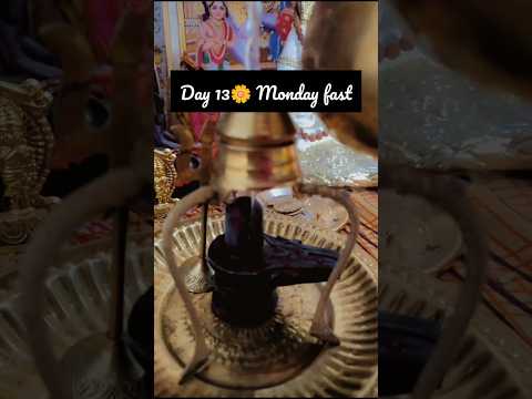 Day 13 🌼 Monday fast, simple meals, work, and staying consistent.#shivay🤍😇