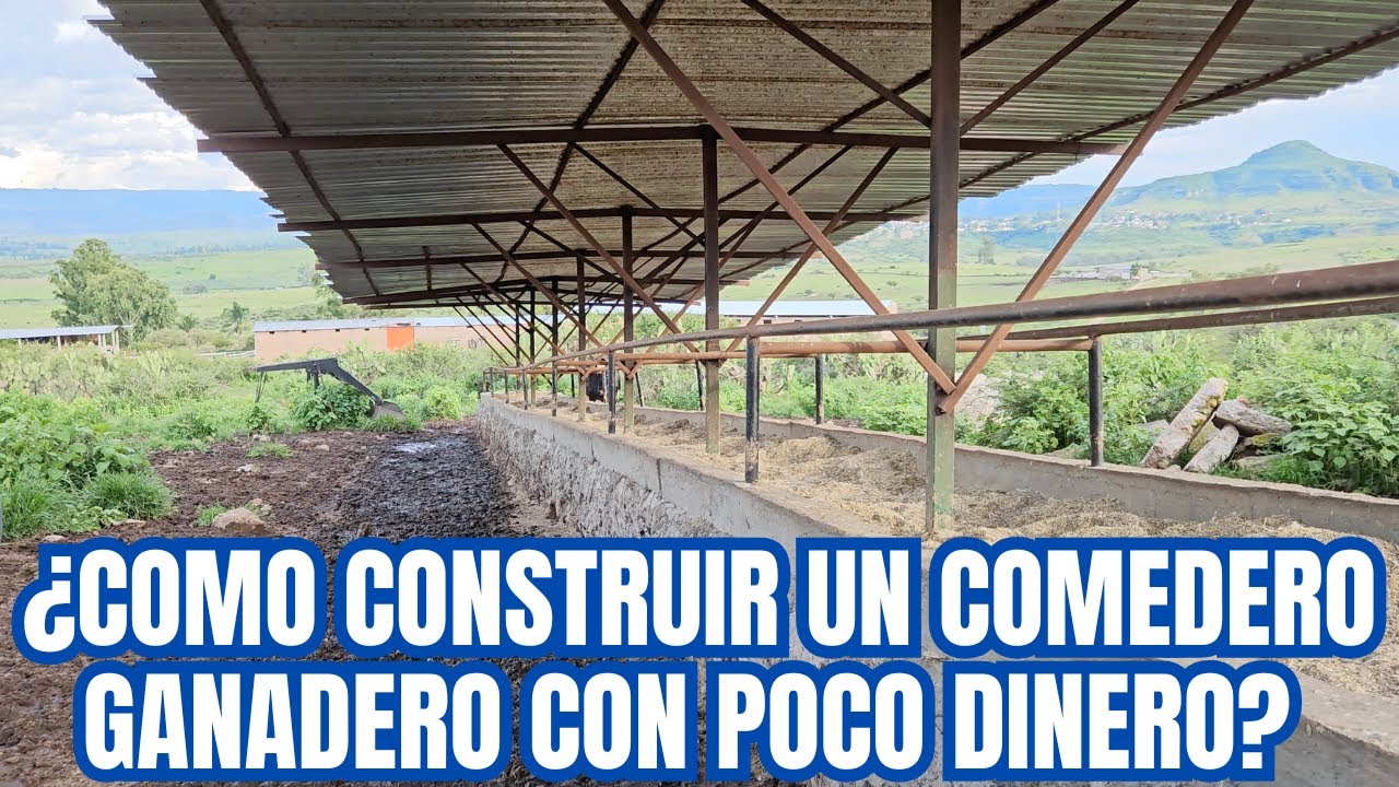 ¿Cómo CONSTRUIR un COMEDERO GANADERO con POCO DINERO? | Que DURE TODA la VIDA |  RancheandoAndo