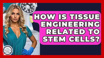 How Is Tissue Engineering Related To Stem Cells? - The Operating Table