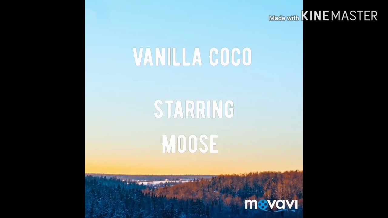 New member! • Name change?!? •Paws 'n Play