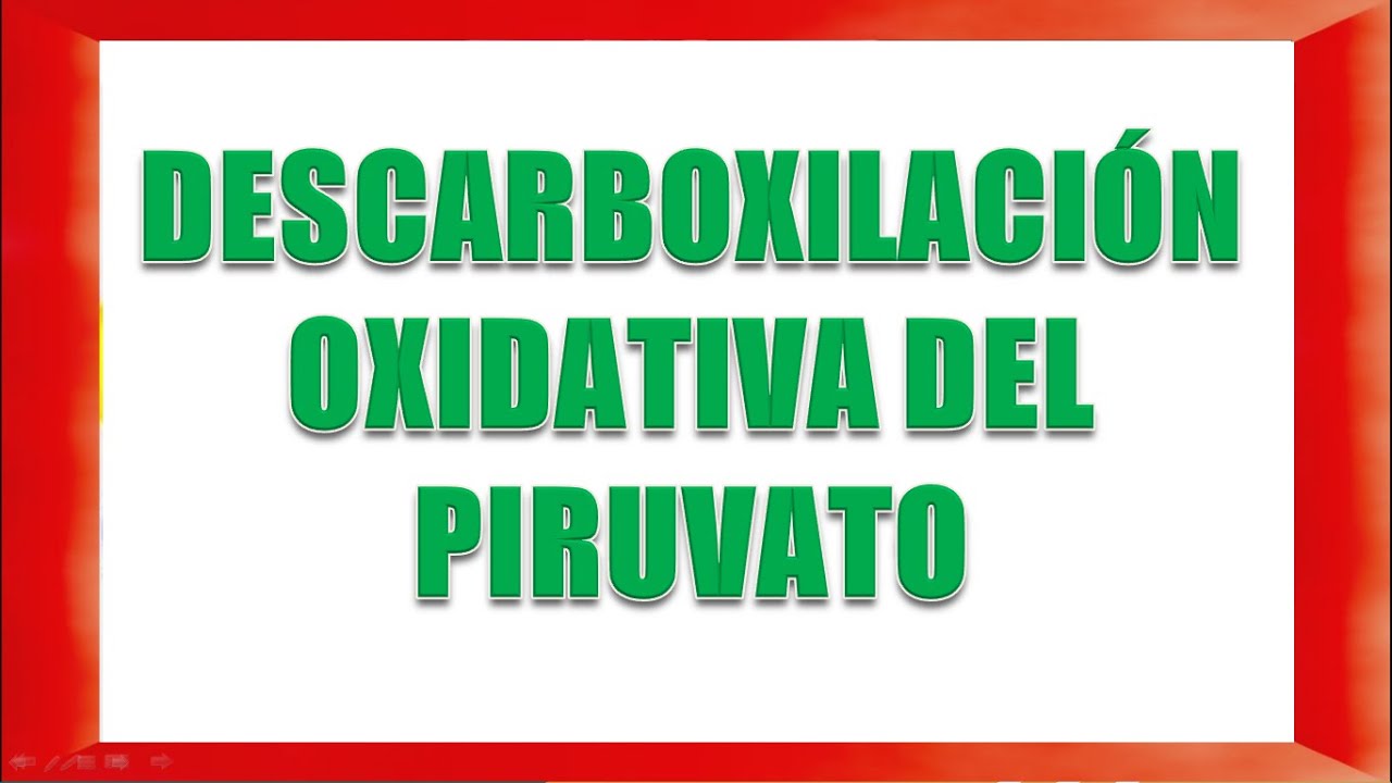 DESCARBOXILACIÓN OXIDATIVA DEL PIRUVATO
