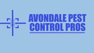Avondale Bed Bug Exterminator - Bed bugs Removal Service in Avondale