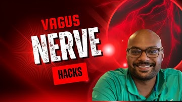 Why Vagus Nerve Stimulation is Crucial – Hacks for Instant Result