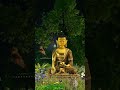 Bharat ko Buddh ki vajah se jante #shots video