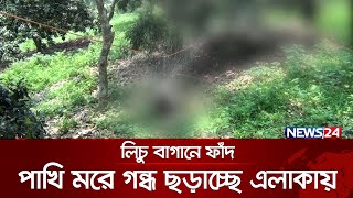 পুলিশের কারেন্ট জালে হাজারও পাখির মৃত্যু! | News24