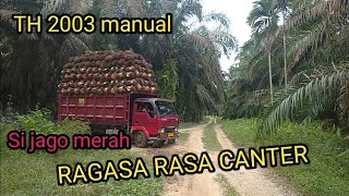 Ragasa Th 2003 rasa CANTER