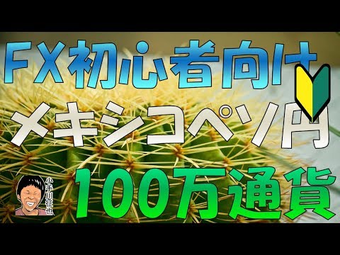 FX メキシコペソ円 100万通貨 スワップポイント投資の注意点【大損しないために】