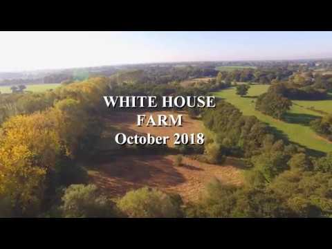 White House Farm October 2018 - YouTube