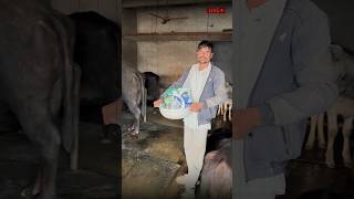 अनूप भाई ने उठा लिया तसला - और बोले बेस्ट खाओ बेस्ट खिलाओ