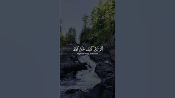 ما لكم لا ترجون لله وقارًا؟ | تلاوة خاشعة بصوت #سعد_الغامدي