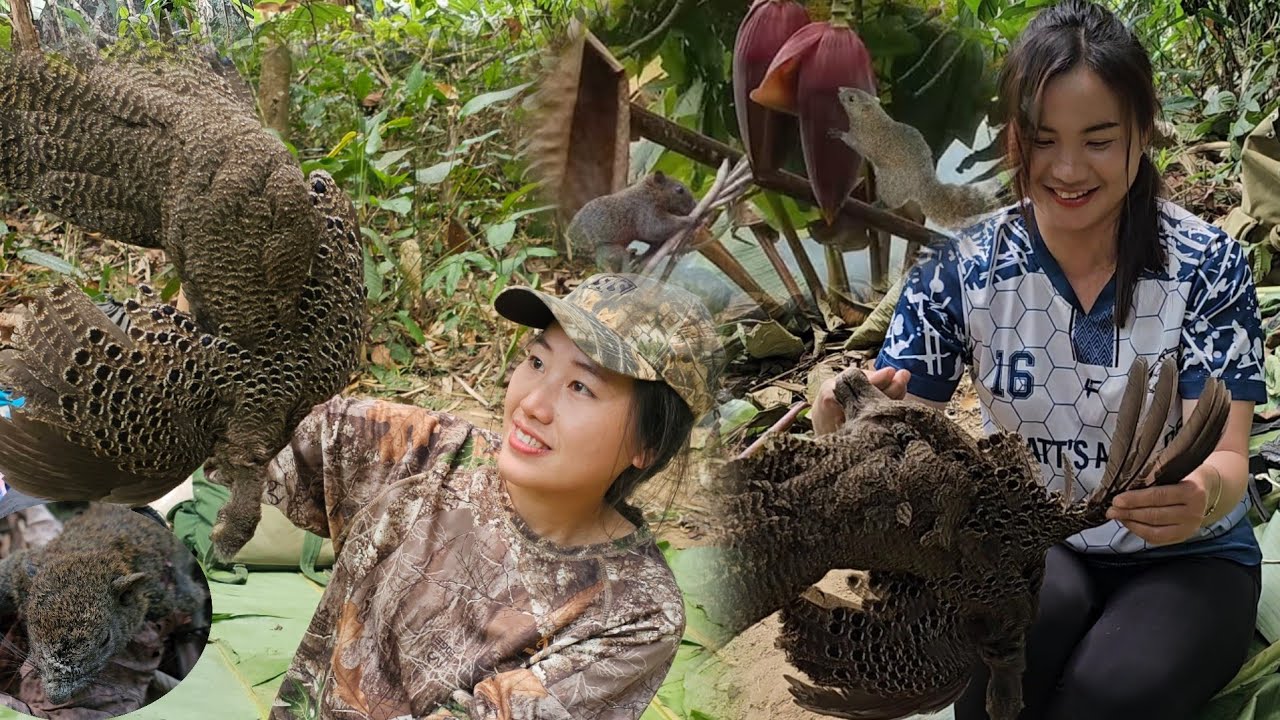 Squirrel eats banana. Mus kab nraj chaw pw tua Tau ib tus nas thiab ib tus hauj huam. กระรอกกินก้อย