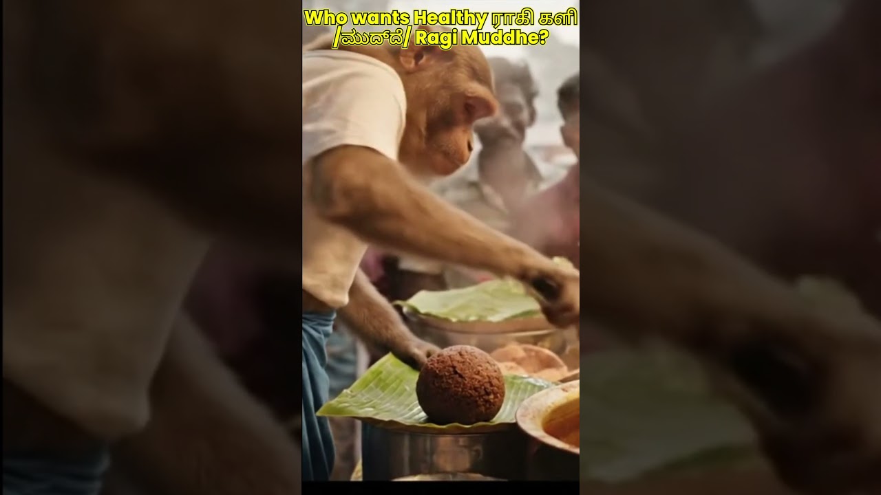 Monkey's Delicious Muddhe/Ragi kali Plate – Crowd Watching in Awe!