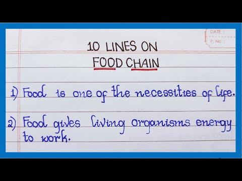 10 Lines on Food Chain in English Few Lines on Food Chain About Food Chain in English