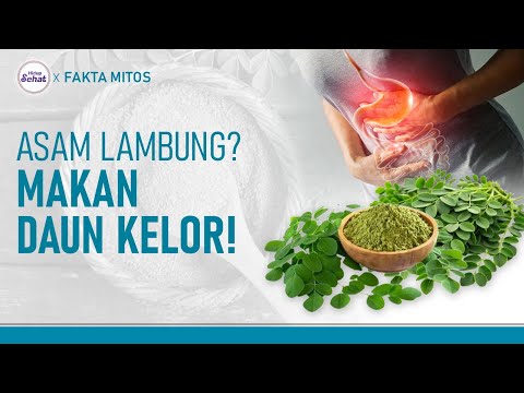 Cara Mengonsumsi Daun Kelor Untuk Asam Lambung