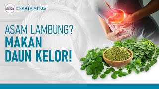 Manfaat Sayur Daun Kelor, Termasuk Menurunkan Asam Lambung | Hidup Sehat tvOne