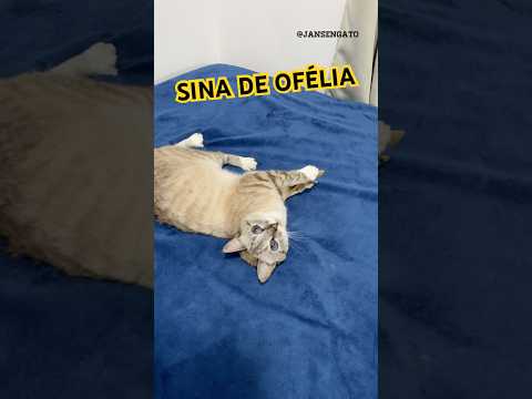 SINA DE OFÉLIA