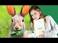 Read with Mira &quot;Ruby red shoes book- A very aware hare&quot; by Kate Knapp