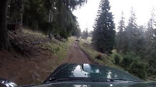 Soft off road.Pe drumuri forestiere de munte.Culori de toamna.-Mountain forest roads. Autumn colors. screenshot 1