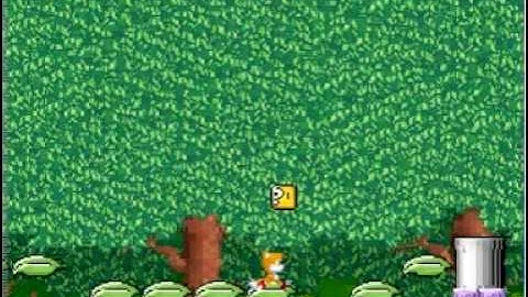 Mushroom Kingdom Fusion : The Beginning Part 2