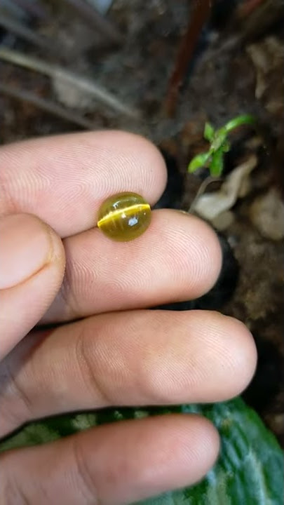 batu cat eyes mata kucing kuning keren mantap bukan akik wulung bacan ruby safir black opal kalimaya