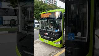Cameo! SBS Transit Zhongtong N12 Electric 3 Door Departing Bus Stop SG3418Y