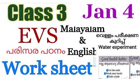 Class 3 Evs worksheet January 4|kite |victers worksheet |3 class evs jan 4 work|victers 3