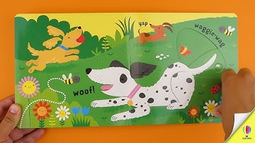 Slide and See Pets 🐱