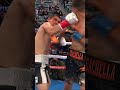 Sebastian Fundora is boxing's cheat code