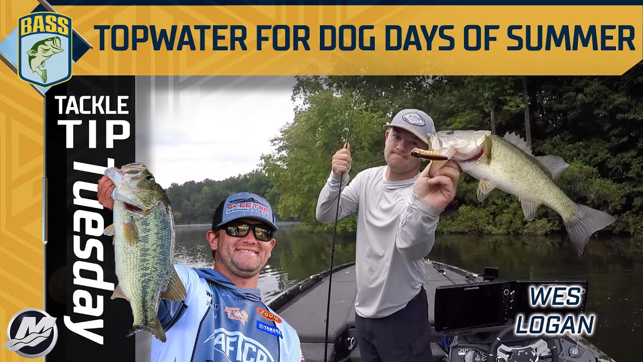Wes Logan goes with shallow topwaters during the dog days of summer