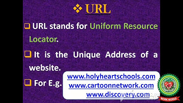 WWW, Web Page, Home Page, URL and ISP|Class 4 |Computer| Holy Heart Schools