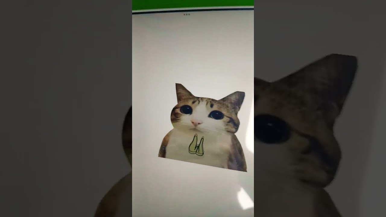 Meowl animation work in progress 