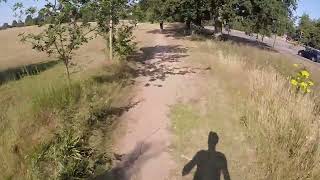 Guildford Parkrun #567 12/07/2025