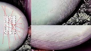 The Anonymous Antarctica Worker Just Leaked This Clear Image Of The Crashed UFO With Hieroglyphics