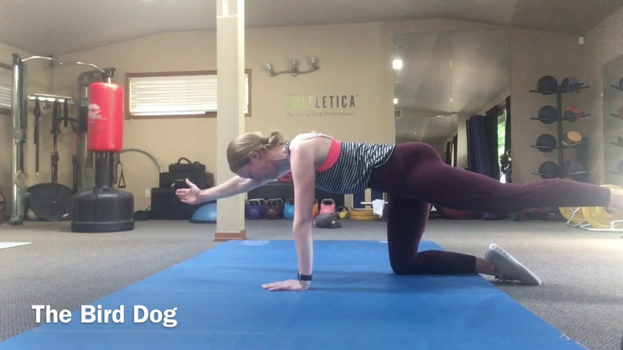 My Favorite Lumbar Stabilizers