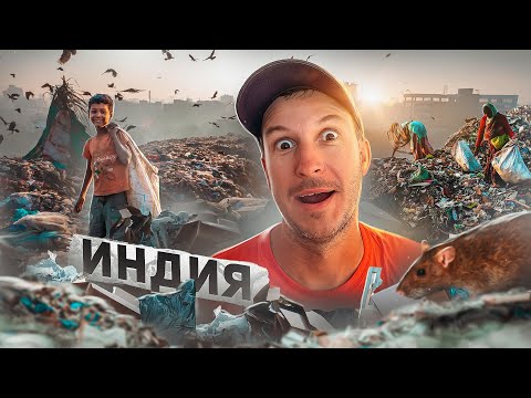 ИНДИЯ! ГРЯЗЬ, ВОНЬ И ПОМОЙКА В ДЕЛИ!