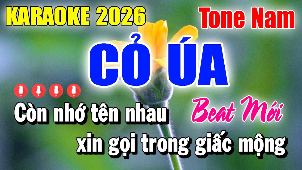 Karaoke Cỏ Úa Tone Nam ( Beat Mới 2026 ) Karaoke Thanh Duy