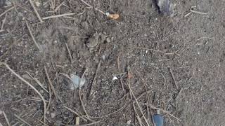 Bdanel B Ft Lerie G n Warm Gevoel