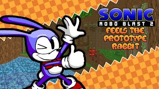 What if Sonic kept his prototype design?