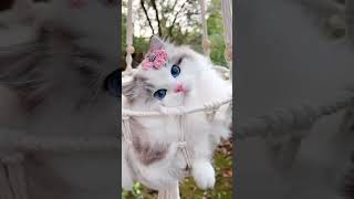 Cute Cat, shorts, shortsvideo cat cats pet pets cute cat