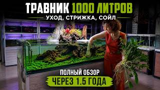 АКВАРИУМ 1000 ЛИТРОВ ЧЕРЕЗ 1.5 ГОДА | Уход | Стрижка | Пересадка