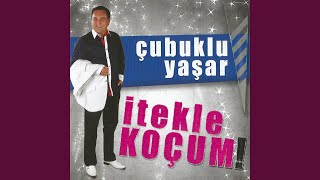Çam Kütüğü