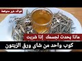 ماذا يحدث اذا شربت كوب من شاى أوراق الزيتون يوميا 