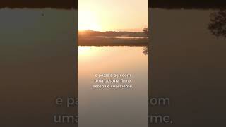10. "Parar de hesitar e Agir com clareza" | A Revolução da Meditação
