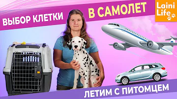 Клетка для перелета и не только. Как выбрать?