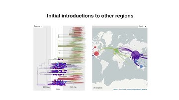 Nextstrain Situation Report 2020-04-10