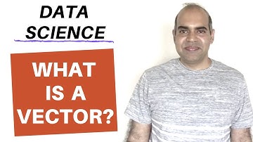 1.4 DS: What is a Vector