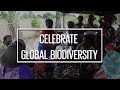 International day for biodiversity 2024 trailer